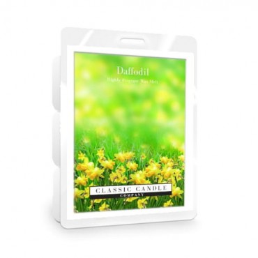 Wosk Daffodil Classic Candle