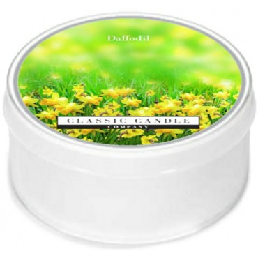 Daylight świeczka Daffodil Classic Candle