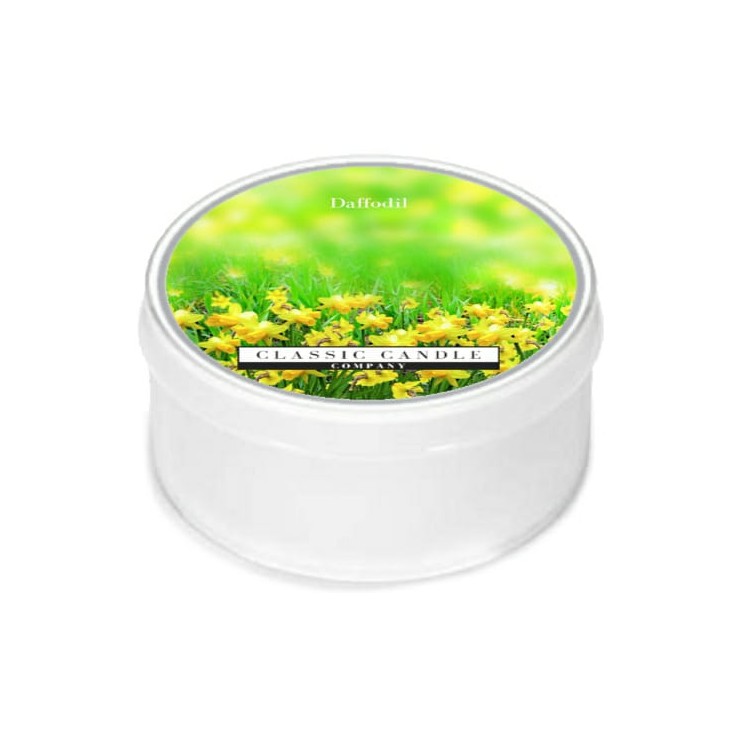 Daylight świeczka Daffodil Classic Candle Daylight świeczka Daffodil Classic Candle