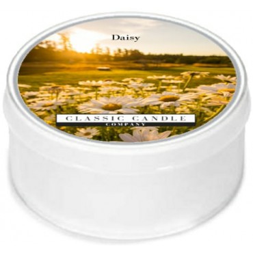Daylight świeczka Daisy Classic Candle