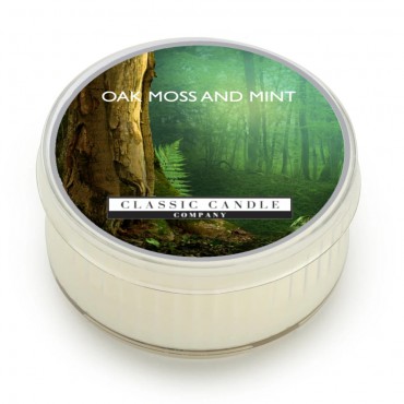 Daylight świeczka Oak Moss And Mint Classic Candle
