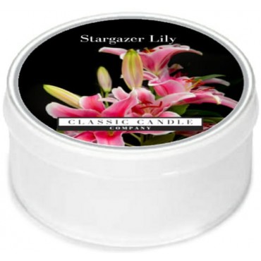 Daylight świeczka Stargazer Lily Classic Candle