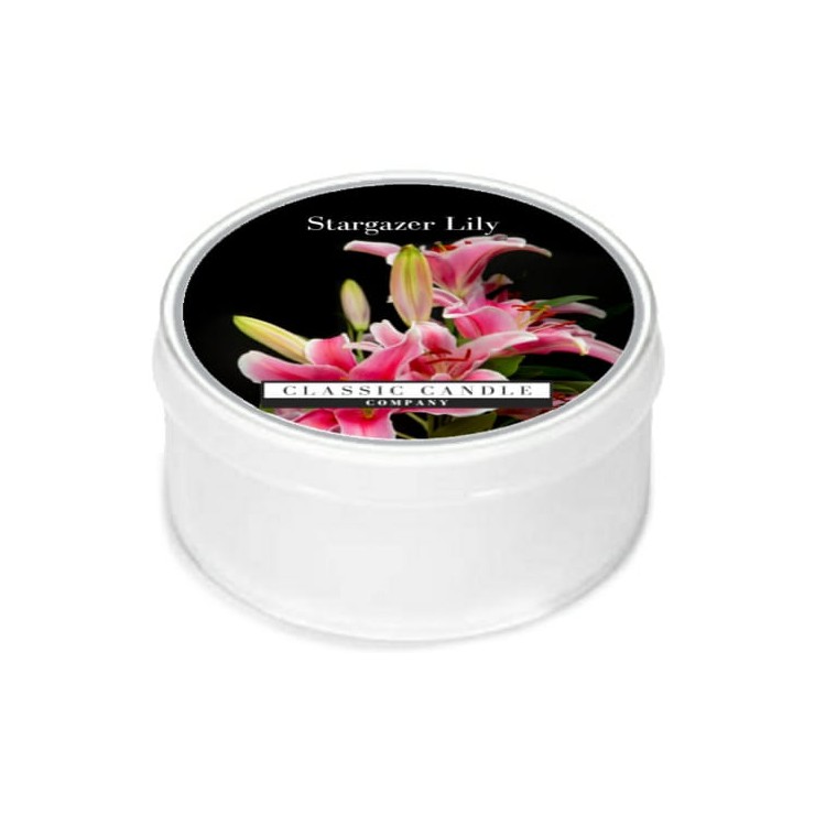 Daylight świeczka Stargazer Lily Classic Candle