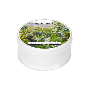 Daylight świeczka Neroli Blossom Classic Candle