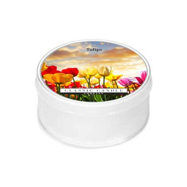 Daylight świeczka Tulips Classic Candle