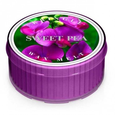 Świeczka Sweet Pea Kringle Candle 