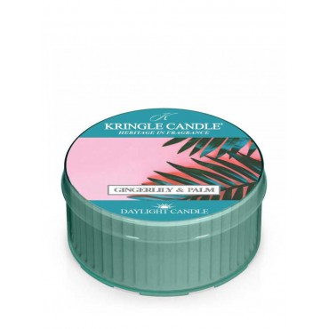 Daylight świeczka Gingerlily & Palm Kringle Candle