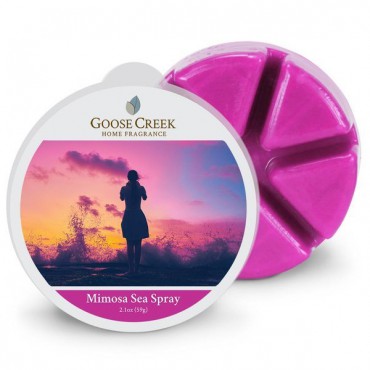 Wosk zapachowy Mimosa Sea Spray Goose Creek Candle