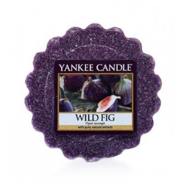 Wosk Wild fig Yankee Candle