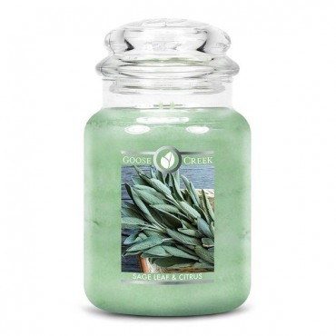 Duża świeca Sage Leaf & Citrus Goose Creek Candle