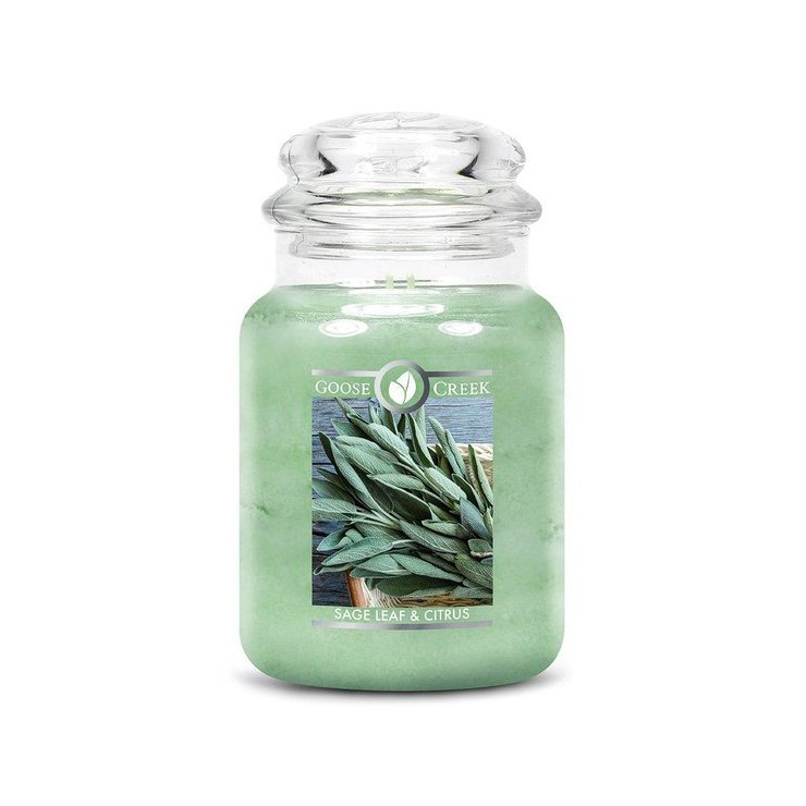 Duża świeca Sage Leaf & Citrus Goose Creek Candle Duża świeca Sage Leaf & Citrus Goose Creek Candle