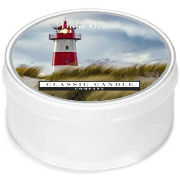 Daylight świeczka Dune Grass Classic Candle