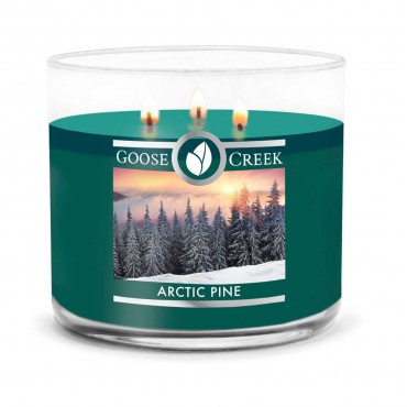 Świeca Tumbler Arctic Pine Goose Creek Candle