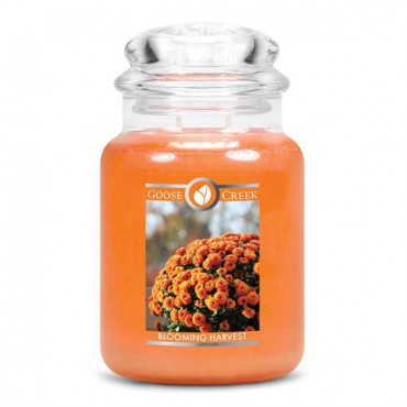 Duża świeca Blooming Harvest Goose Creek Candle