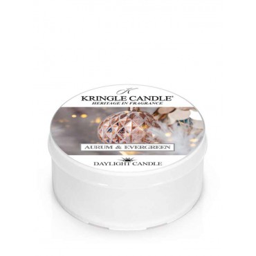 Daylight świeczka Aurum & Evergreen Kringle Candle