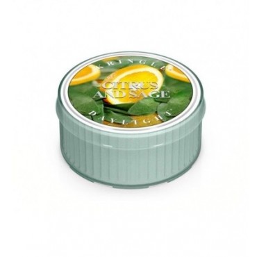 Świeczka Citrus and Sage Kringle Candle