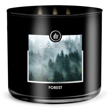 Świeca Tumbler FOR MEN Forest Goose Creek Candle
