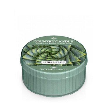 Daylight świeczka Spiral Aloe Country Candle