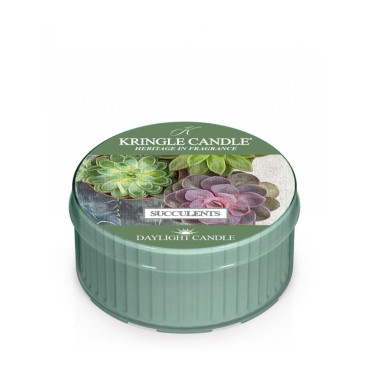 Daylight świeczka Succulents Kringle Candle