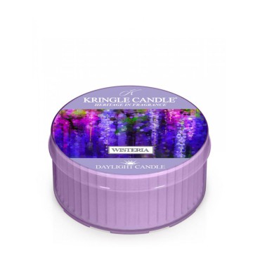 Daylight świeczka Wisteria Kringle Candle