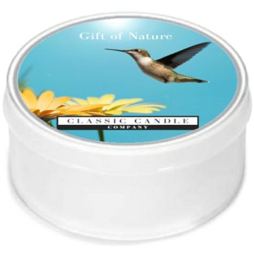 Daylight świeczka Gift of Nature Classic Candle