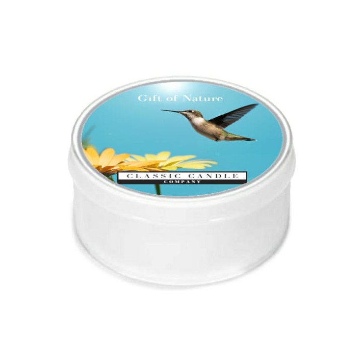 Daylight świeczka Gift of Nature Classic Candle