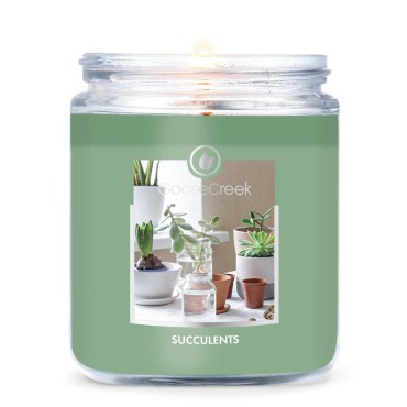Mała świeca Succulents Goose Creek Candle