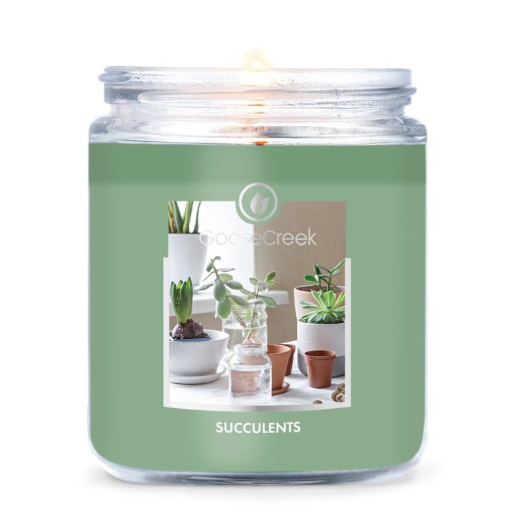 Mała świeca Succulents Goose Creek Candle Mała świeca Succulents Goose Creek Candle