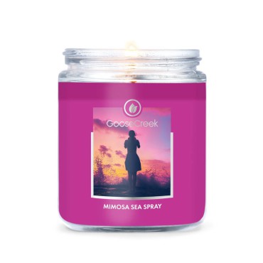 Mała świeca Mimosa Sea Spray Goose Creek Candle