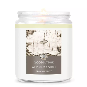 Mała świeca Wild Mint & Birch Goose Creek Candle