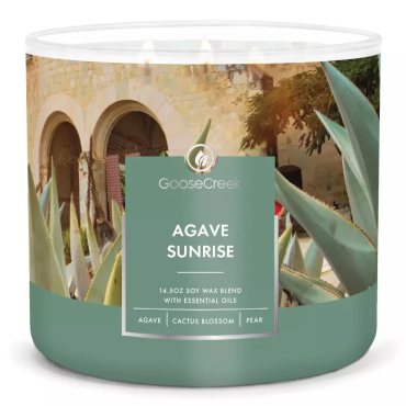 Świeca Tumbler Agava Sunrise Goose Creek Candle