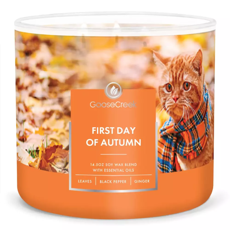 Świeca Tumbler First Day of Autumn Goose Creek Candle Świeca Tumbler First Day of Autumn Goose Creek Candle