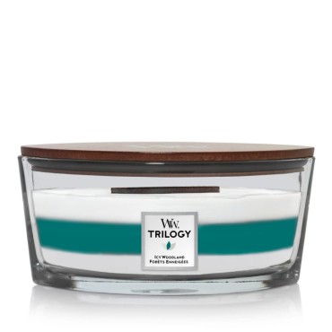 Świeca Hearthwick Trilogy Icy Woodland WoodWick