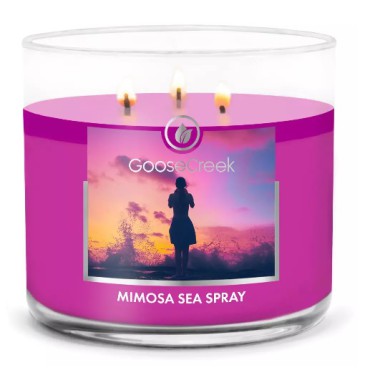 Świeca Tumbler Mimosa Sea Spray Goose Creek Candle