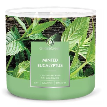 Świeca Tumbler Minted Eucaliptus Goose Creek Candle