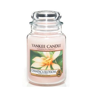 Duża świeca Champaca Blossom Yankee Candle