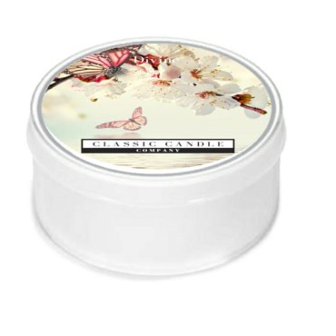 copy of Daylight świeczka Secret Land Classic Candle