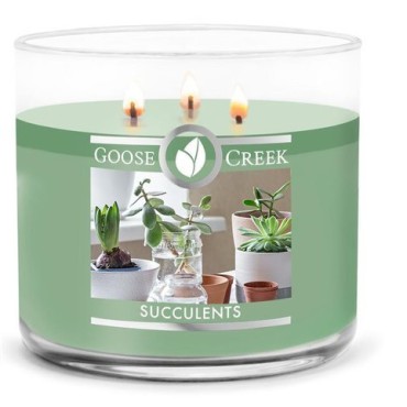 copy of Świeca Tumbler Sunlit Shores Goose Creek Candle