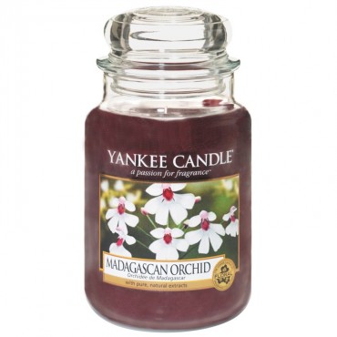 Duża świeca Madagascan Orchid Yankee Candle