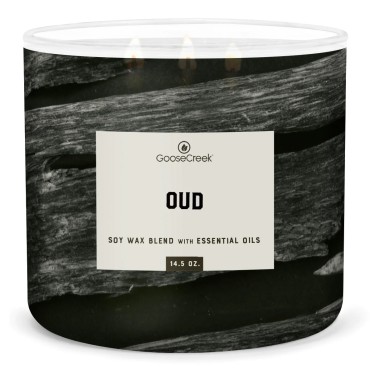 Świeca Tumbler FOR MEN Oud Goose Creek Candle