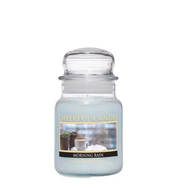 copy of Duża świeca Aunt Kook's Apple Cide Cheerful Candle