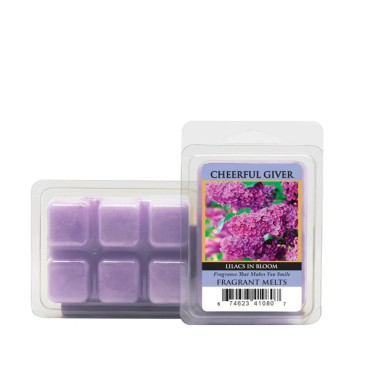 copy of Wosk zapachowy Salted Caramel Popcorn Goose Creek Candle