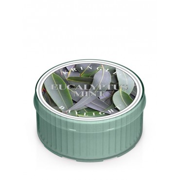 Daylight Eucalyptus Mint Kringle Candle