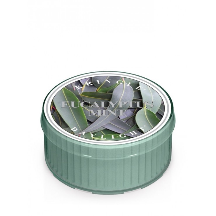Daylight Eucalyptus Mint Kringle Candle