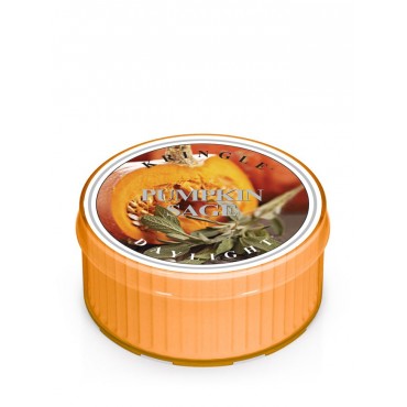 Daylight Pumpkin Sage Kringle Candle