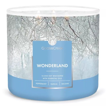 copy of Świeca Tumbler Autumn Romance Goose Creek Candle
