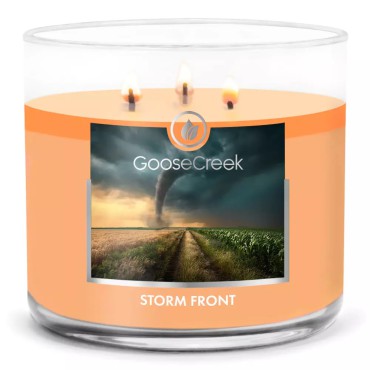 copy of Świeca Tumbler Autumn Romance Goose Creek Candle
