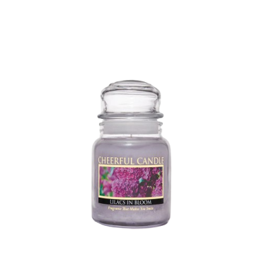 copy of Duża świeca Aunt Kook's Apple Cide Cheerful Candle