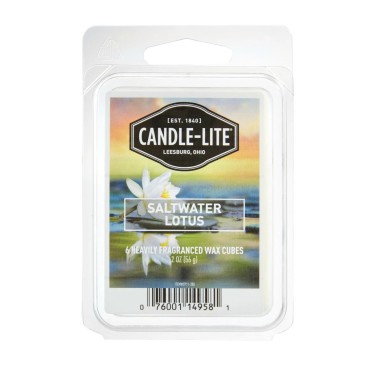 copy of Simmer Snaps Snowday Colonial Candle