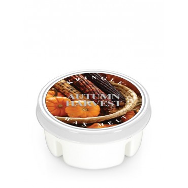 Wosk Autumn Harvest Kringle Candle